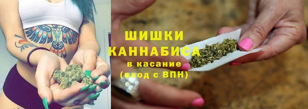 крисы Переславль-Залесский