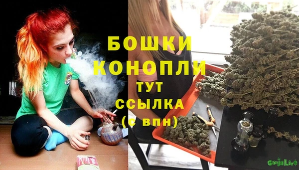 крисы Переславль-Залесский