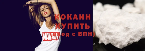 прущий лед Пересвет