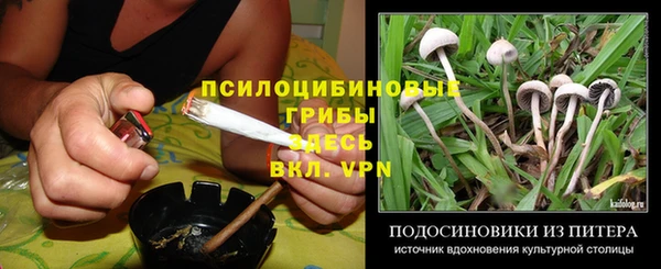спиды Жердевка