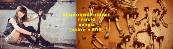 крисы Переславль-Залесский