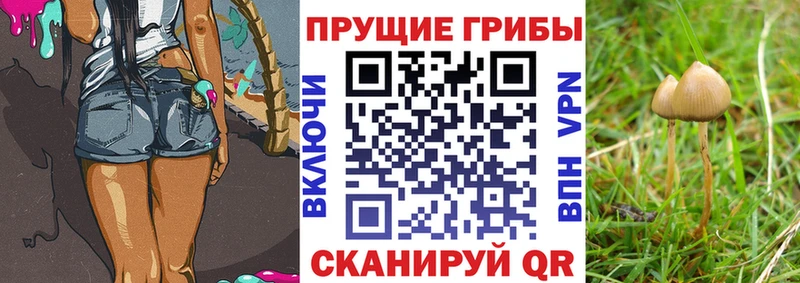 Псилоцибиновые грибы MAGIC MUSHROOMS  Торжок 